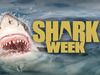 Shark Week (2017)