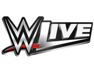 World Wrestling Entertainment (WWE) artist photo