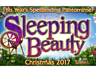 Sleeping Beauty: Lee Brennan, Cheryl Fergison artist photo