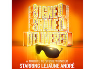 Signed Sealed Delivered - A Tribute To Stevie Wonder artist photo