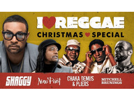 I Love Reggae: Shaggy, Maxi Priest, Chaka Demus & Pliers, Mitchell Brunings artist photo