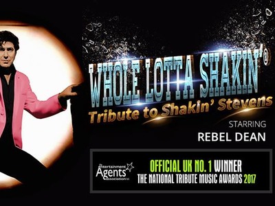 Whole Lotta Shakin artist photo