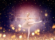 ROH: The Nutcracker (AsLive 12A) artist photo