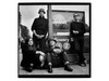 Wire announced 12 new tour dates