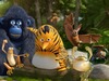 The Jungle Bunch