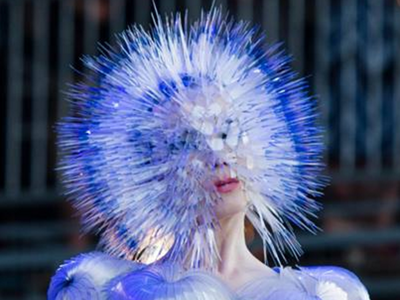Björk artist photo