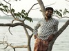 Parava
