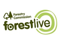 The Forestry Commission presents Forest Live 2018 artist photo