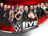 World Wrestling Entertainment (WWE) announced 8 new tour dates